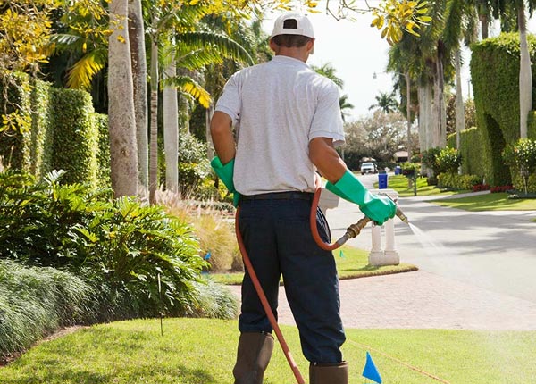 About Canton NY Pest Control